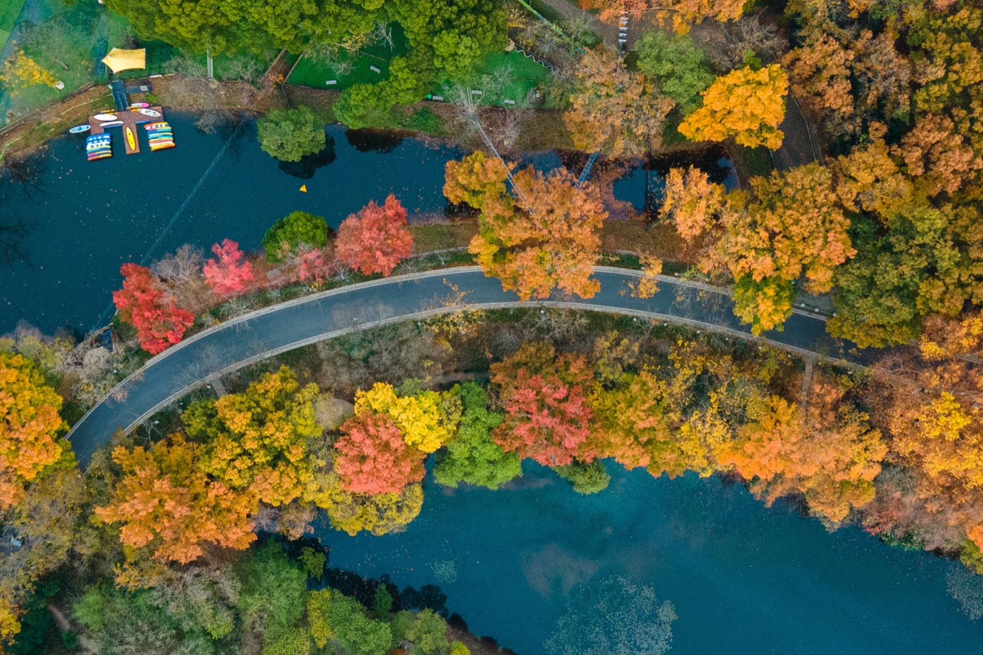 Autumn in Nanjing